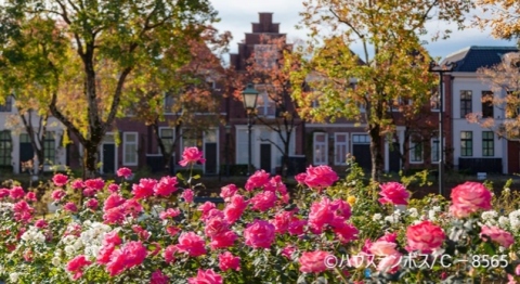 ハウステンボス1DAYパスポート付